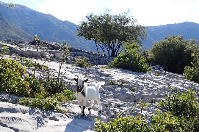 3-Hour Easy Via Ferrata Review: Family Fun - Meeting and End Points