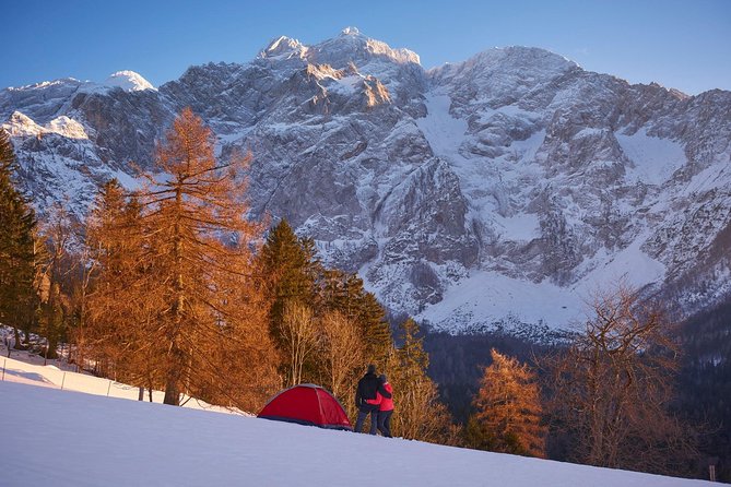3-Hour Guided Snowshoeing Adventure in the Slovenian Alps - Traveler Feedback