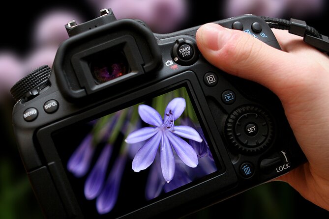 3 Hour Photo Workshop in Berlin - Start Time