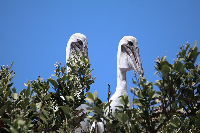 3-Hour St Pete Private Water Adventure Tour for 6 Guests - Accessibility