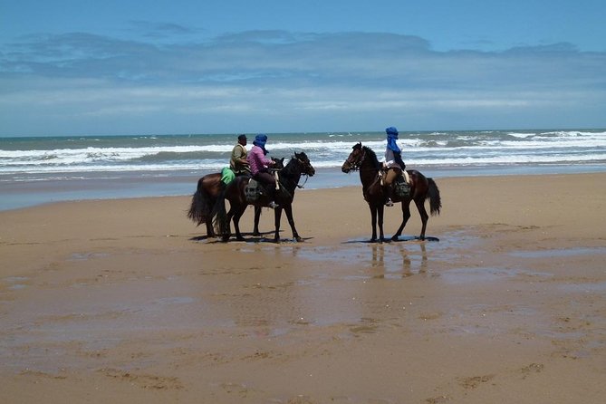 3 Hours Horse Riding in Essaouira, Beach, Forest and Dunes - Riding Experience for All