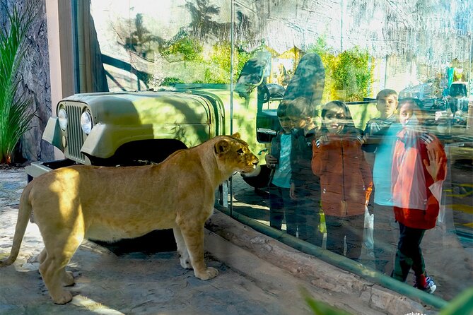 3 in 1 Fun With Viaport Theme Park With Aquarium and Lion Park - Transportation and Accessibility Details