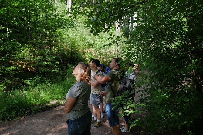 3 in 1 Tour Brewery & Castle in Bohemian Paradise Unesco Geopark - Meeting and Pickup