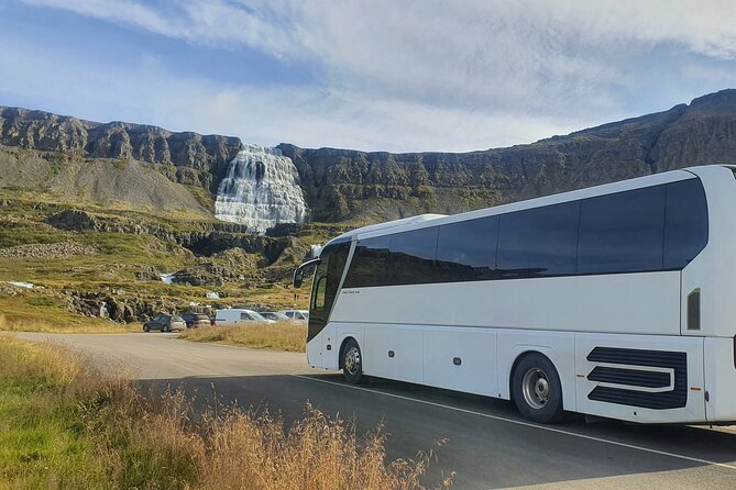 3,5-Hour Sightseeing Tour To Dynjandi Waterfall - Expectations for the Activity