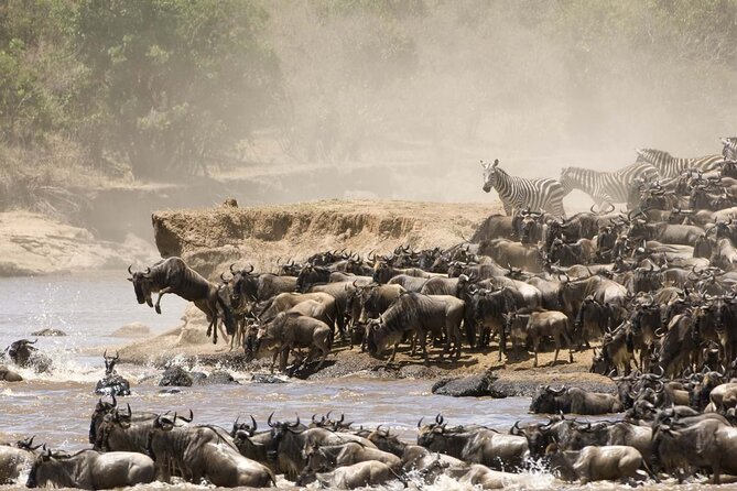 3days/2nights Group Joining Masai Mara - Accessibility
