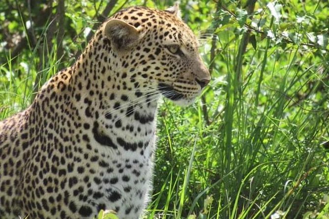 3days Masai Mara Best of Lodge Safari - Accessibility