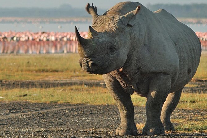 3DAYS Safari to Tarangire Ngorongoro and Manyara Lodge Safari - Wildlife Encounters at Lake Manyara
