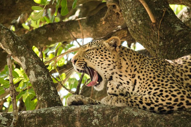 4 Day Budget Kruger National Park Safari - Dining Experience