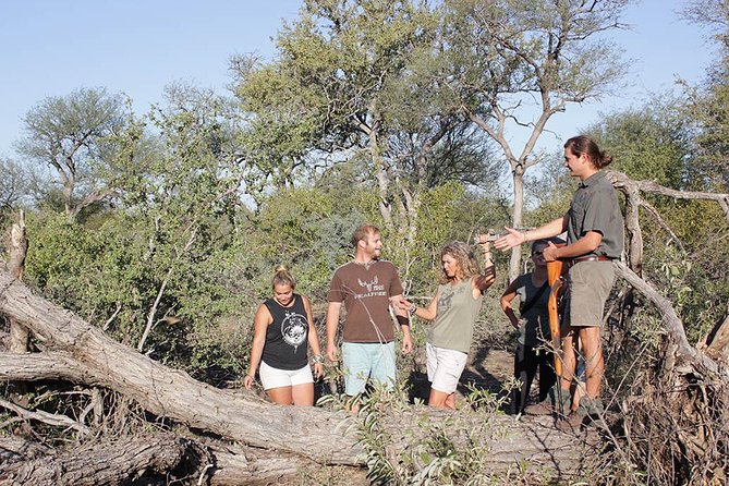 4 Day Classic Kruger National Park Safari - Accommodation and Meals