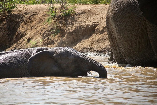 4 Day Greater Kruger Kapama Game Lodge Safari With Panorama Route Journey - Accommodation and Meals