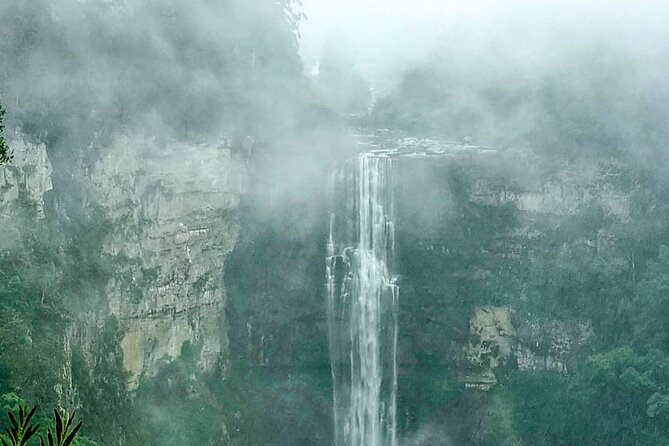 4-Day Private Natal Midlands Falls to Falls Tour - Health and Accessibility