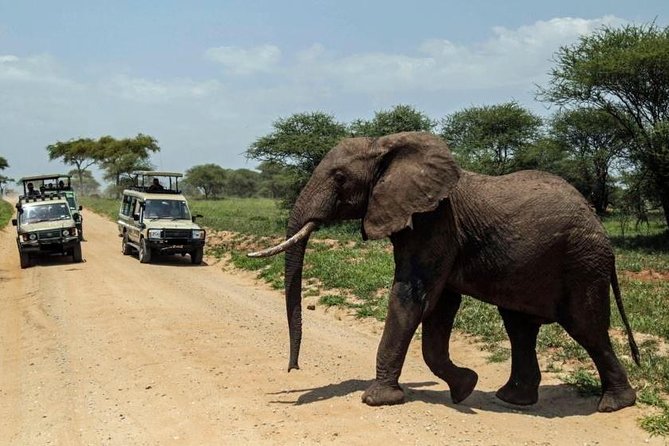 4-Day Tanzania Camping Safari to Lake Manyara, Serengeti, and Ngorongoro Crater - Getting to the Safari
