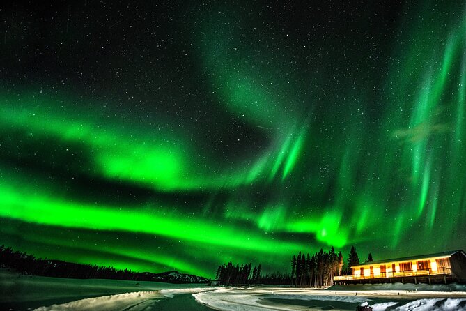 4 Day Tour in Aurora Cabin From Whitehorse - Pickup Information