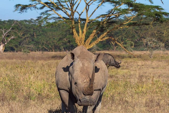 4 Days Joined Group Safari Serengeti,Ngorongoro and Tarangire National Parks - Transportation and Accessibility