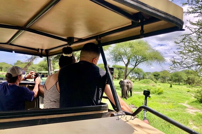 4 Days Lodge Safari Tarangire , Ngorongoro Crater & Walking - Health and Accessibility