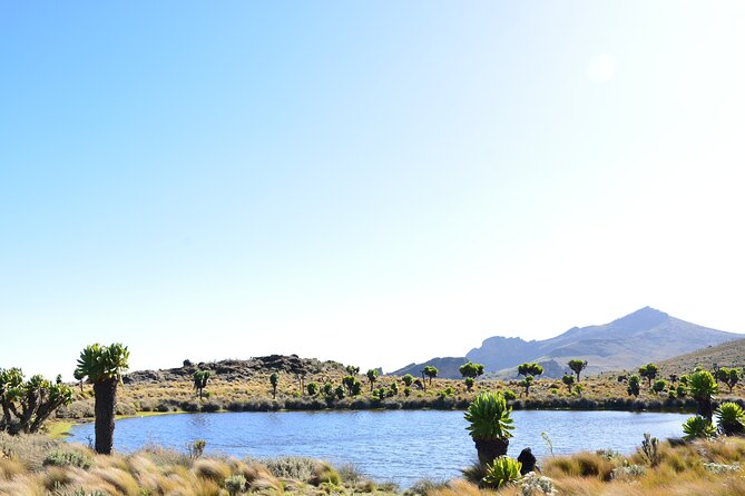 4 Days Mount Elgon Trek, 4321M A.S.L - Traveler Requirements
