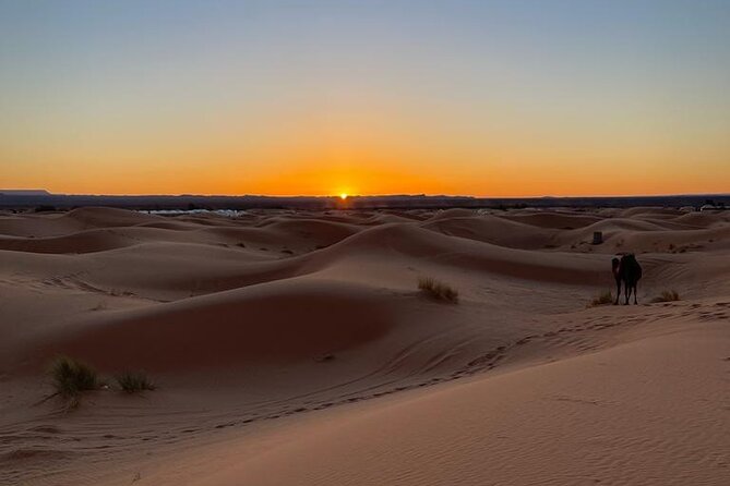 4 Days Private Desert Tour From Marrakech to Merzouga - Accommodation and Meals