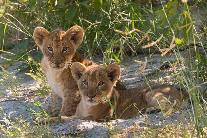 4 Days Victoria Falls Zimbabwe With Chobe National Park Safari Botswana and Livingstone Zambia - Accommodation and Accessibility