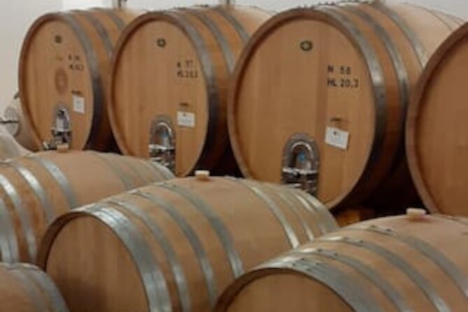 4-Hour Guided E-bike Tour of the Two Wineries in Bardolino - Accessibility and Health Considerations