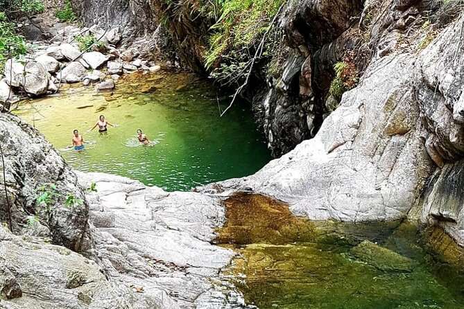 4-Hour Jungle Hike and Waterfall Swim - Tour Highlights and Experiences