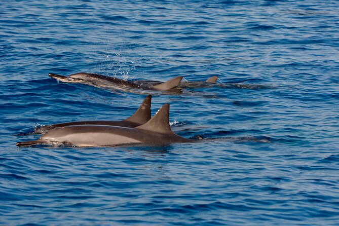 4-Hour Kona Private Charter - Meeting Point Details