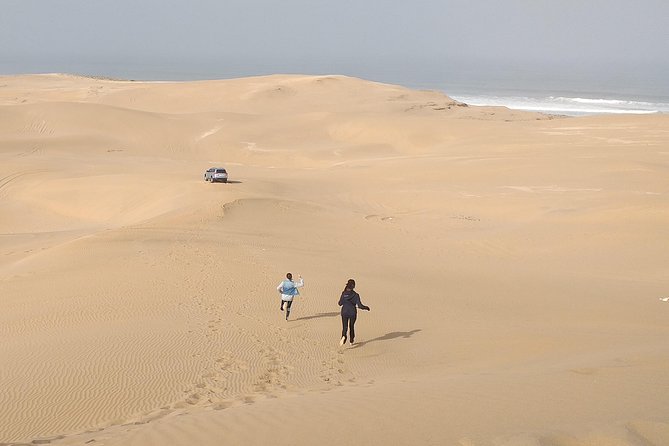 4 Hours.Agadir : Trip to Sahara and Tifnit Fishing Village - Marveling at the Coastal Beaches