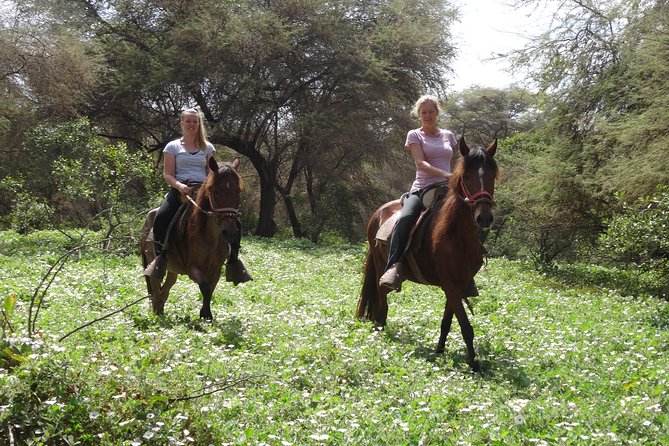 4-Hours Horse Riding, Inca Pyramids in Worlds Largest Dry Forest - Accessibility and Participation