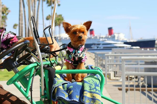 4-Wheel Surrey Cycle Rental in Long Beach Shoreline Village - Activity Details
