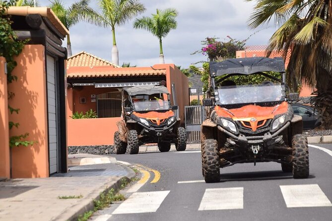 40% Off-Road Buggy Tour in Tenerife - 2 Hours - Tour Duration and Group Size