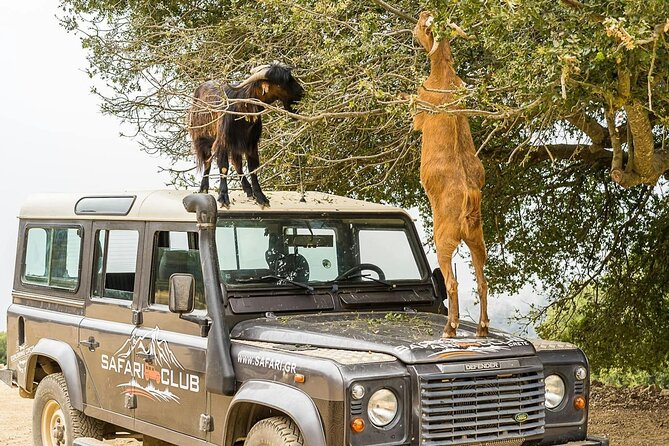 4x4 Cretan Experience From Rethymnon - Participant Requirements and Accommodations