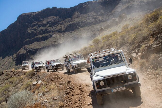 4X4 Safari: Jandía Natural Park and Cofete - Whats Included in the Package