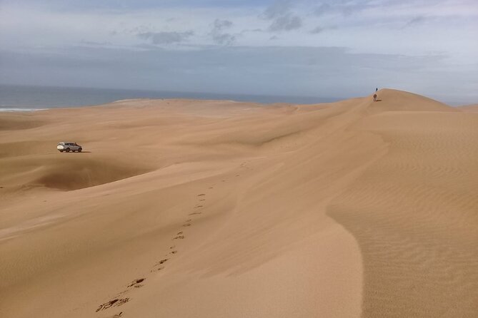 4×4 Wild Nature Private Half Day Trip - Booking Information