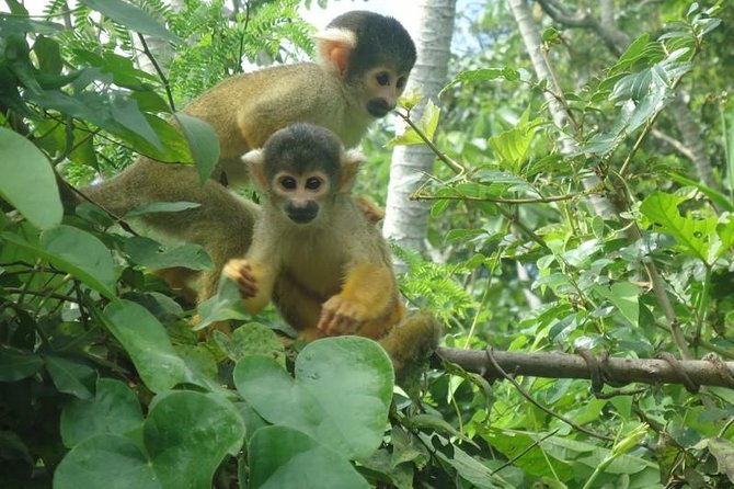 5-Day Bolivian Amazon Pampas Adventure From La Paz - Policies and Disclaimers