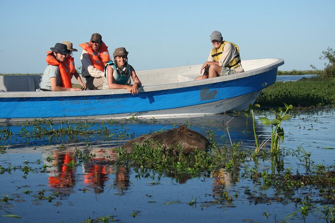 5-Day Ibera Marshlands & Iguazu Falls Tour - Special Requests