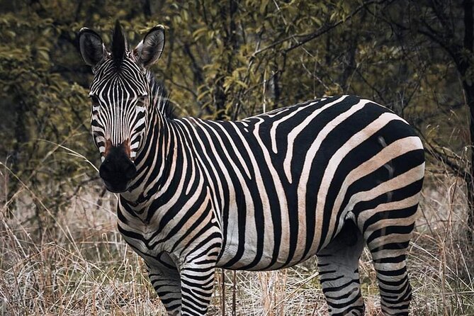 5-Day Tanzania Camping Safari - Meal and Dining Arrangements