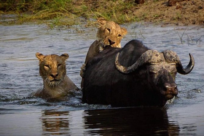 5 Day Victoria Falls and Chobe National Park Camping Tour - Booking Process