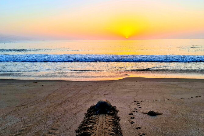 5 Days 4 Nights Oman Package Tour Mohammed - Meeting and Pickup Details
