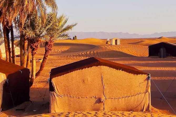 5 Days Marrakech & Desert Tour - Marveling at Todra Gorge