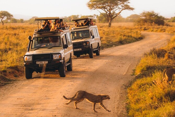 5-Days Private Midrange Safari: Serengeti, Ngorongoro & Manyara - Booking Details