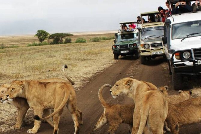 5 Days Safari in Tanzania | Camping and Lodge Safaris - Booking and Cancellation Policy