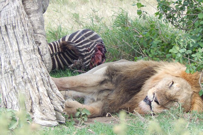 5 Days Safari to Serengeti, Ngorongoro, Tarangire From Arusha - Exclusions and Additional Costs