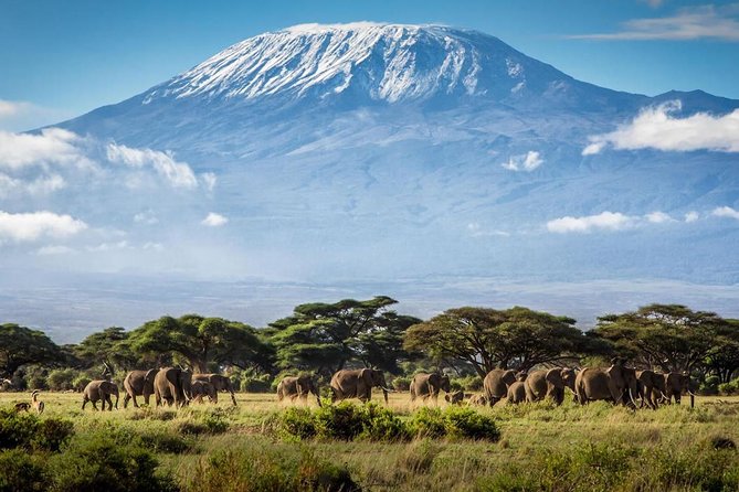 5 Days Serengeti Wildebeest Migration Safari - Meals Included
