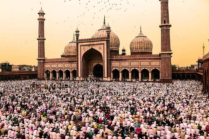 5 Days - The Birth of God Krishna and the Golden Triangle of India - Traveler Reviews and Ratings
