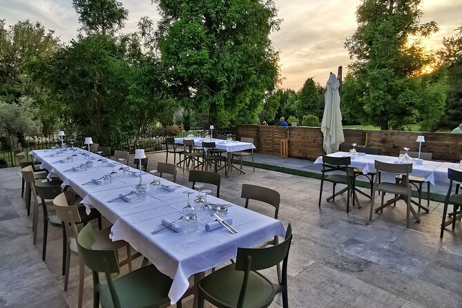 5-Hour Food and Wine Tasting in Modena - Accessibility and Participation