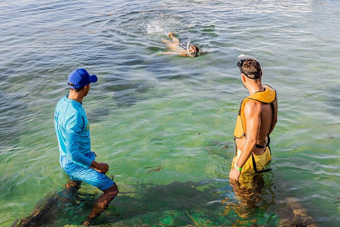 5-in-1 Cancun Adventure: Turtles, Reef, Musa, Shipwreck, Cenote - Suitability and Accessibility