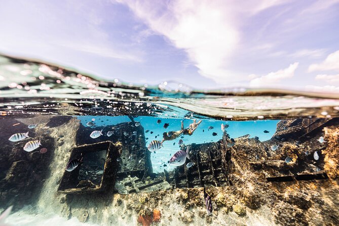 5 in 1 Snorkeling Boat Experience in Cancun - Booking Information