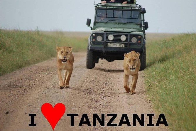 6- Day Adventure Lodge Safari to See Migration - Inclusions and Exclusions