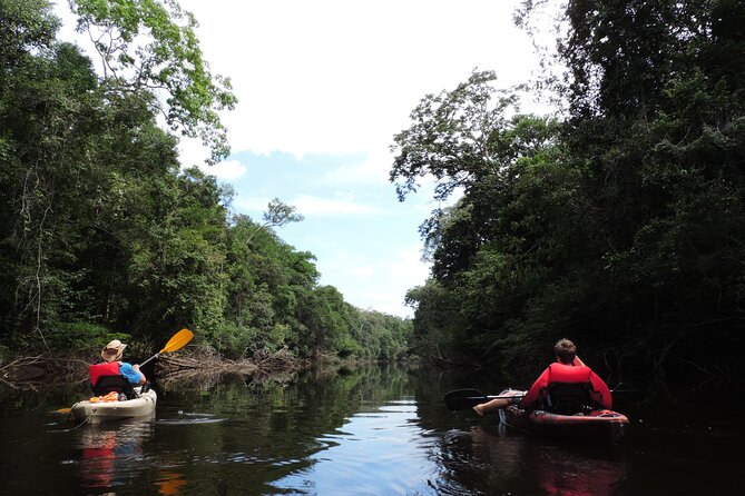 6-Day Guided Kayak Expedition in the Amazon - Booking and Cancellation