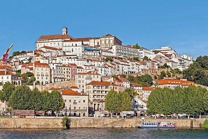 6-Day North Portugal Tour: Porto, Braga, Fátima, Coimbra, Guimaraes, Aveiro and Batalha, From Lisbon - Customer Feedback and Experiences