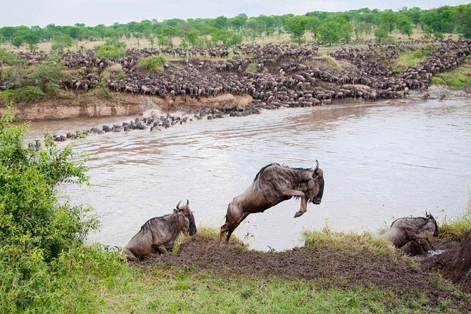 6 Day Private Camping Safari to Tarangire,Serengeti,Ngorongoro& Manyara Tanzania - Experiencing Lake Manyaras Wonders
